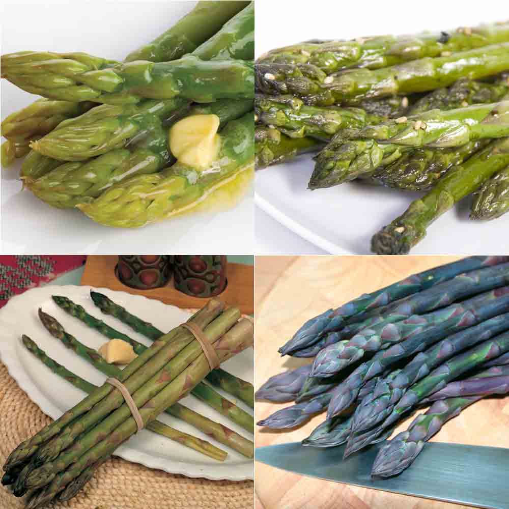 Asparagus Full Collection : Spring Planting - 10 crowns of each variety