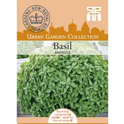 Basil 'Aristotle' - Kew Collection Seeds - 1 packet (35 seeds)