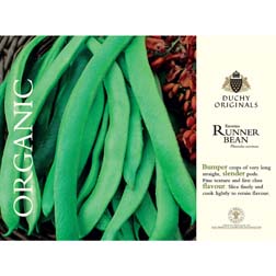 Runner Bean 'Enorma' - Duchy Originals Organic Seeds - 1 packet (30 seeds)