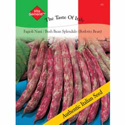 Dwarf Bean 'Splendido' (Borlotti Bean) - Vita Sementi® Italian Seeds - 1 packet (60 grams)
