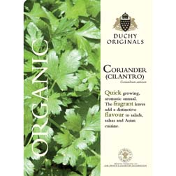 Coriander (Cilantro) - Duchy Originals - 1 packet (150 seeds)