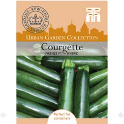 Courgette Firenze F1 Hybrid - 1 packet (6 seeds)