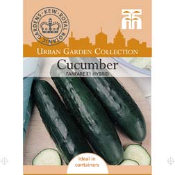 Cucumber 'Fanfare' F1 Hybrid - 1 packet (4 seeds)