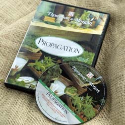 DVD - Propagation - 1 DVD