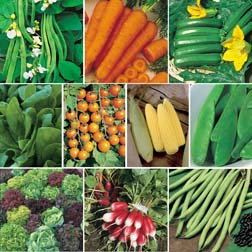 Easy Grow Vegetable Collection - SPECIAL OFFER - 10 packets - 1 of each variety
