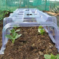 Mini Greenhouse Cloche - 1 pack of 2 cloches, pegs and 2 ends