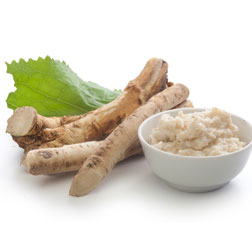 Horseradish Root - 5 thongs