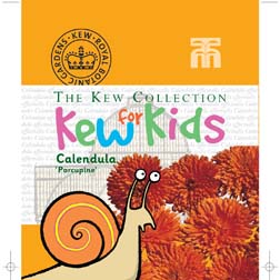 Calendula officinalis 'Porcupine' - Kew for Kids Children's Seeds - 1 packet (200 seeds)