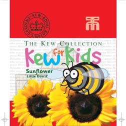 Sunflower 'Little Dorrit' - Kew for Kids Children's Seeds - 1 packet (25 seeds)