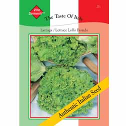 Lettuce 'Lollo Bionda' (Loose-Leaf) - Vita Sementi® Italian Seeds - 1 packet (4000 seeds)