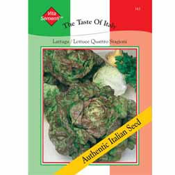 Lettuce 'Quattro Stagioni' (Butterhead) - Vita Sementi® Italian Seeds - 1 packet (6400 seeds)