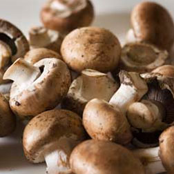 Mushroom Brown Cap Button (Portabella) - 100g mushroom spawn