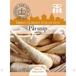 Parsnip 'Arrow' - 1 packet (100 seeds)