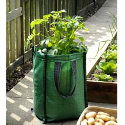 Potato Patio Planters - 3 patio planters