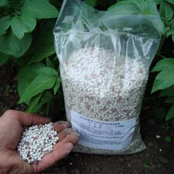 Potato Fertiliser - 5 kg bag - sufficient for 120 tubers