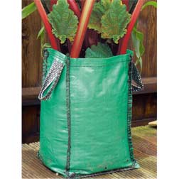 Rhubarb Patio Kit (Autumn Planting) - 1 large crown + 1 grow bag