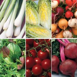 Salad Garden Collection - SPECIAL OFFER - 6 packets - 1 of each variety (3265 seeds in total)