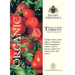 Tomato 'Falcorosso' F1 Hybrid - Duchy Originals Organic Seeds - 1 packet (6 seeds)