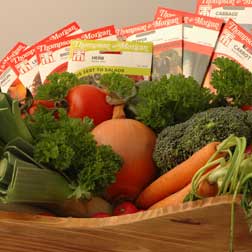 Healthy Vegetable Collection - 11 packets - 1 of each (2926 seeds in total)