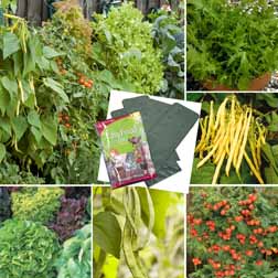 Vertical Vegetable Collection - 1 pack of each